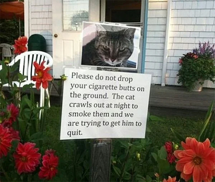 hilarious warning sign cat bad habit