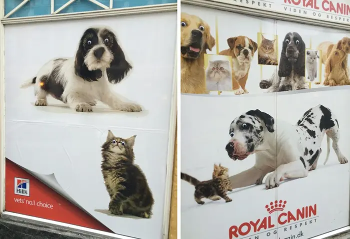 local pet store hilariously vandalized