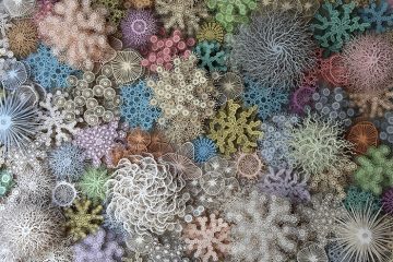 paper art mimic coral reef