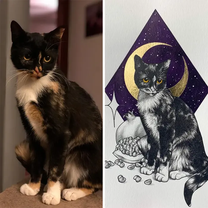 pet portrait better than expected