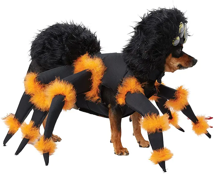 realistic tarantula dog costume