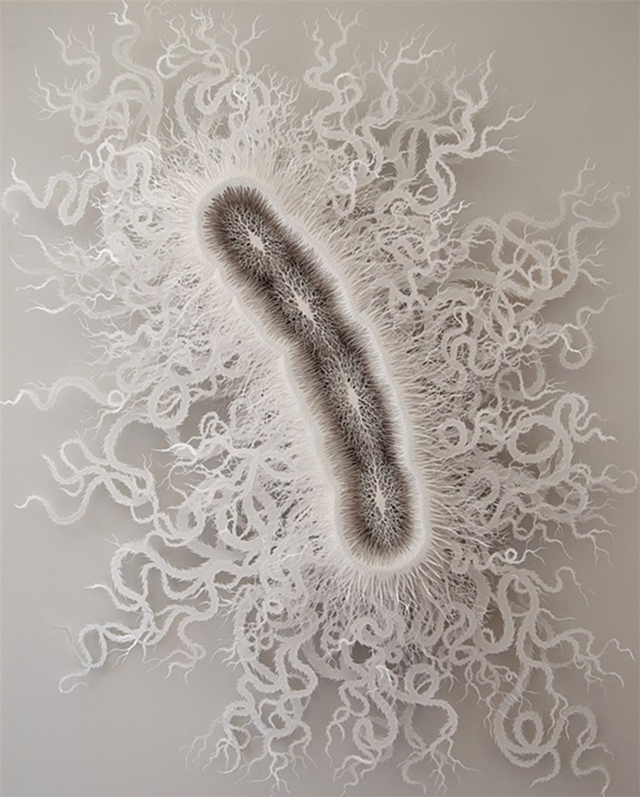 rogan brown paper art cut microbe