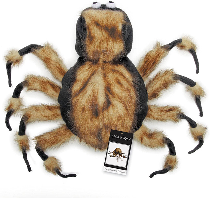 spider costume for pets