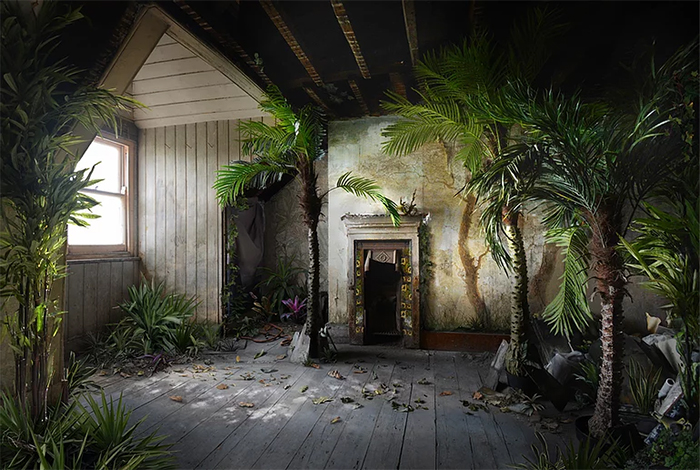 suzanne moxhay photomontages palms