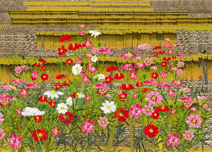 tatsuo horiuchi blooming in the reaped rice field