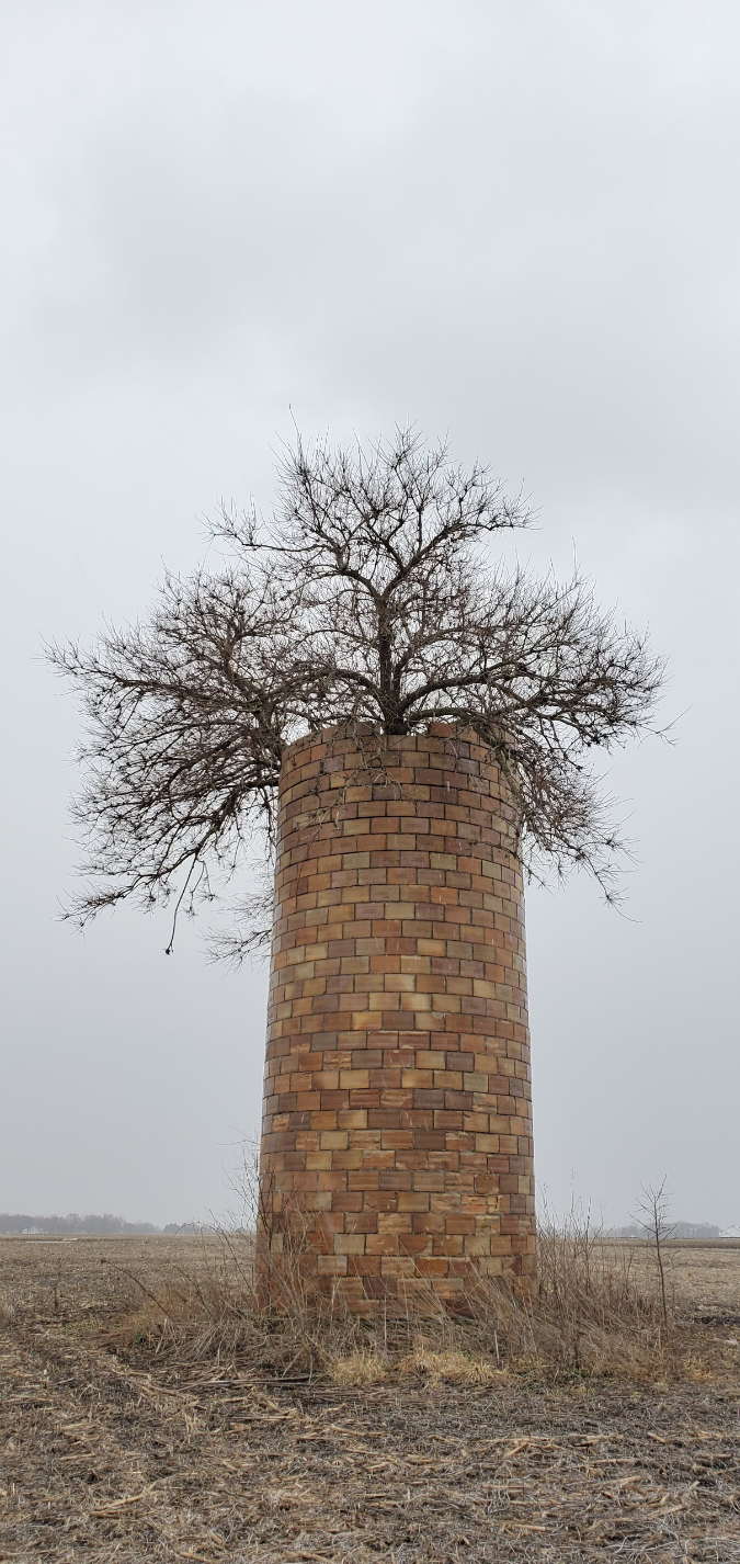 tree-conquers-old-silo-Wlverenefan