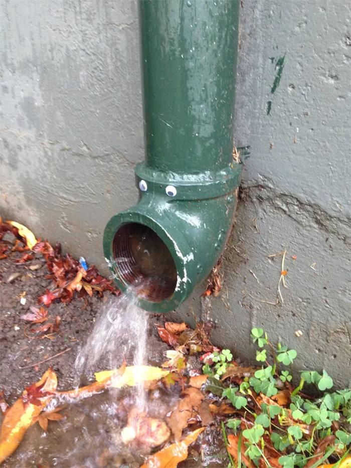 water drain pipe with googly eyes