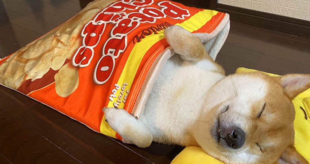 Snack-Inspired Pet Beds