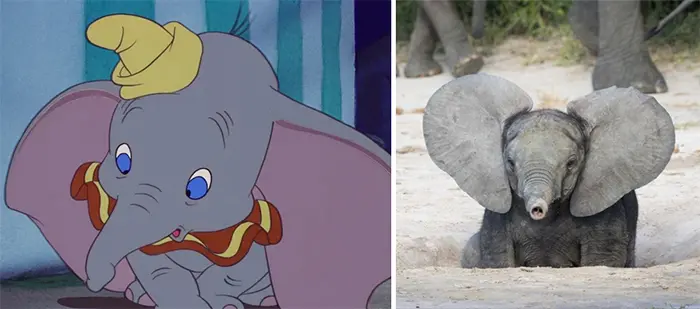 animals recreate disney characters dumbo