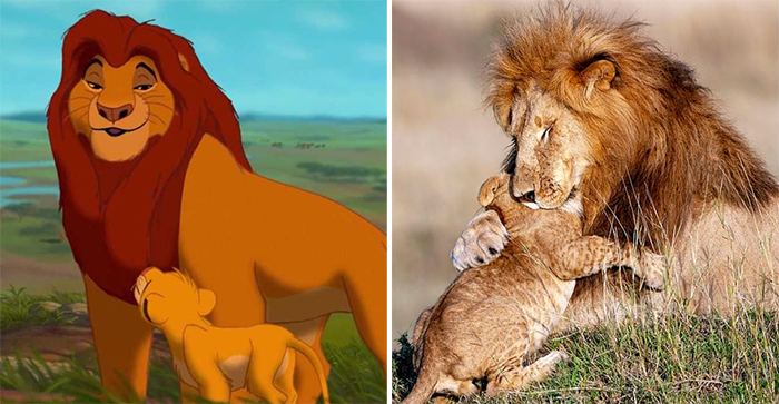 animals recreate disney characters mufasa and simba