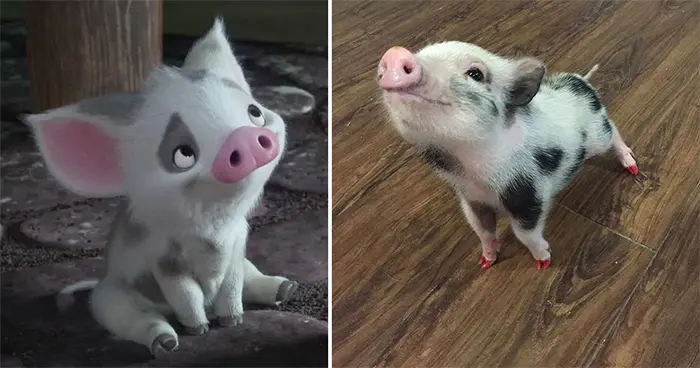 animals recreate disney characters pua