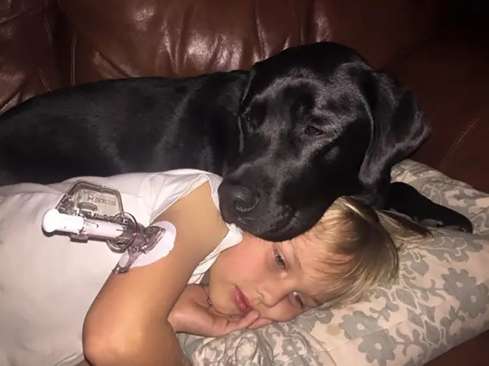 black dog looking after boy with diabetes