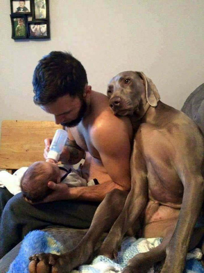 dog leaning on a man feeding a baby
