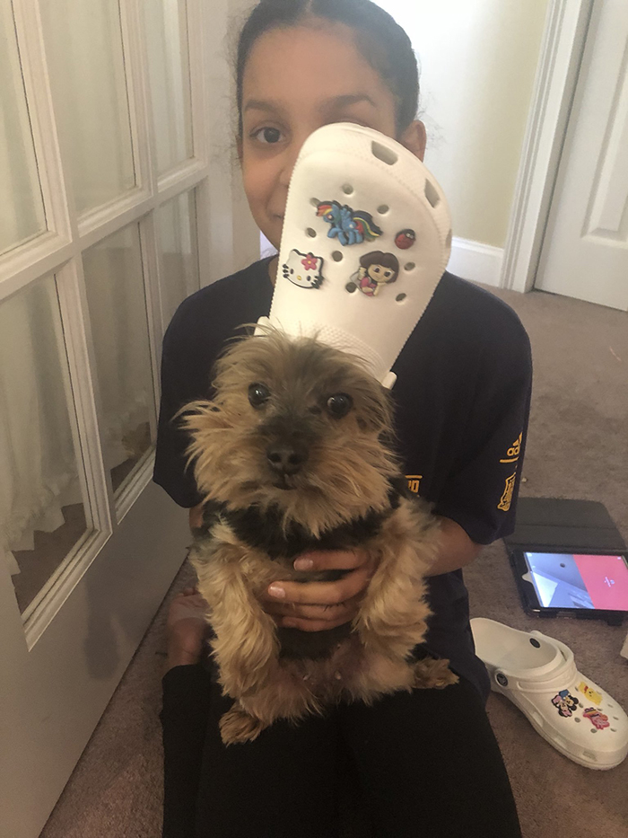 dog wearing a white croc hat while being carried by a girl