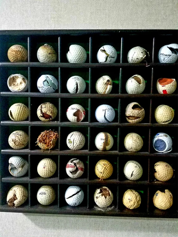 father collects ugly golf balls