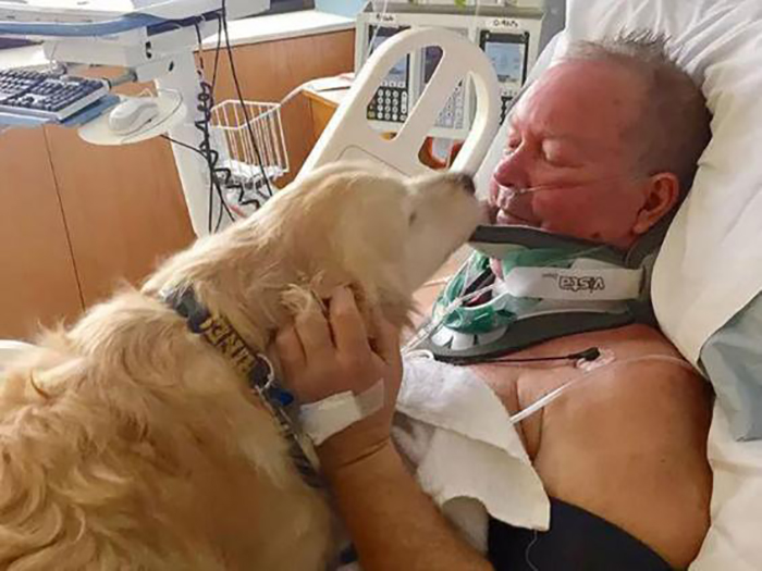 golden retriever licking the face of a patient in hospital