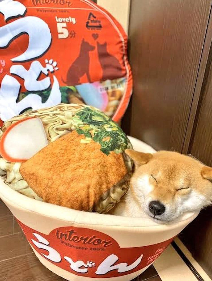 instant ramen bowl snack-inspired pet bed