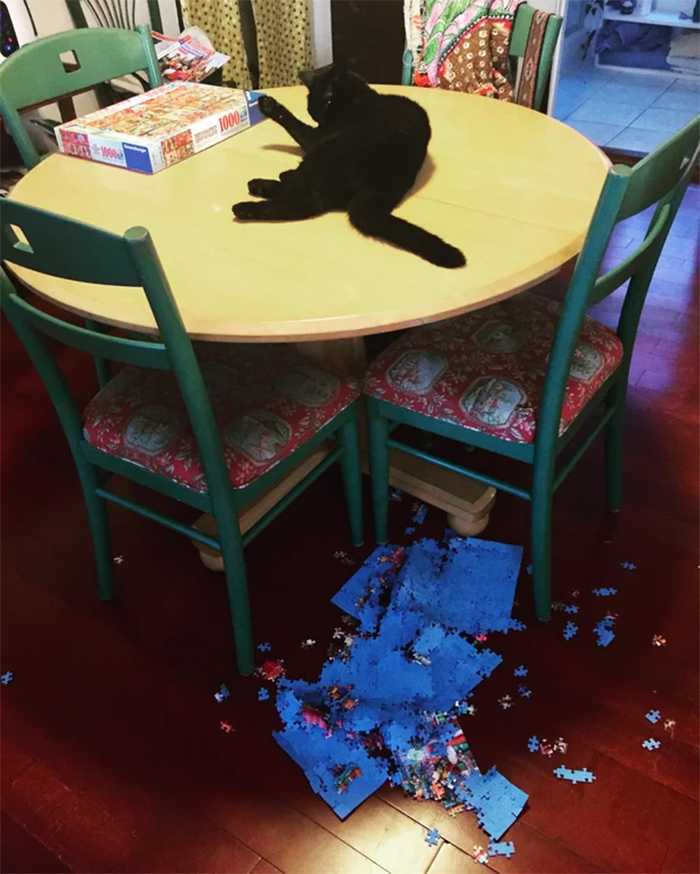 kitty destroys finished puzzle