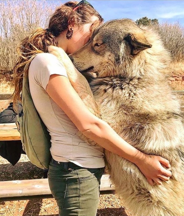 lady hugging a wolfdog