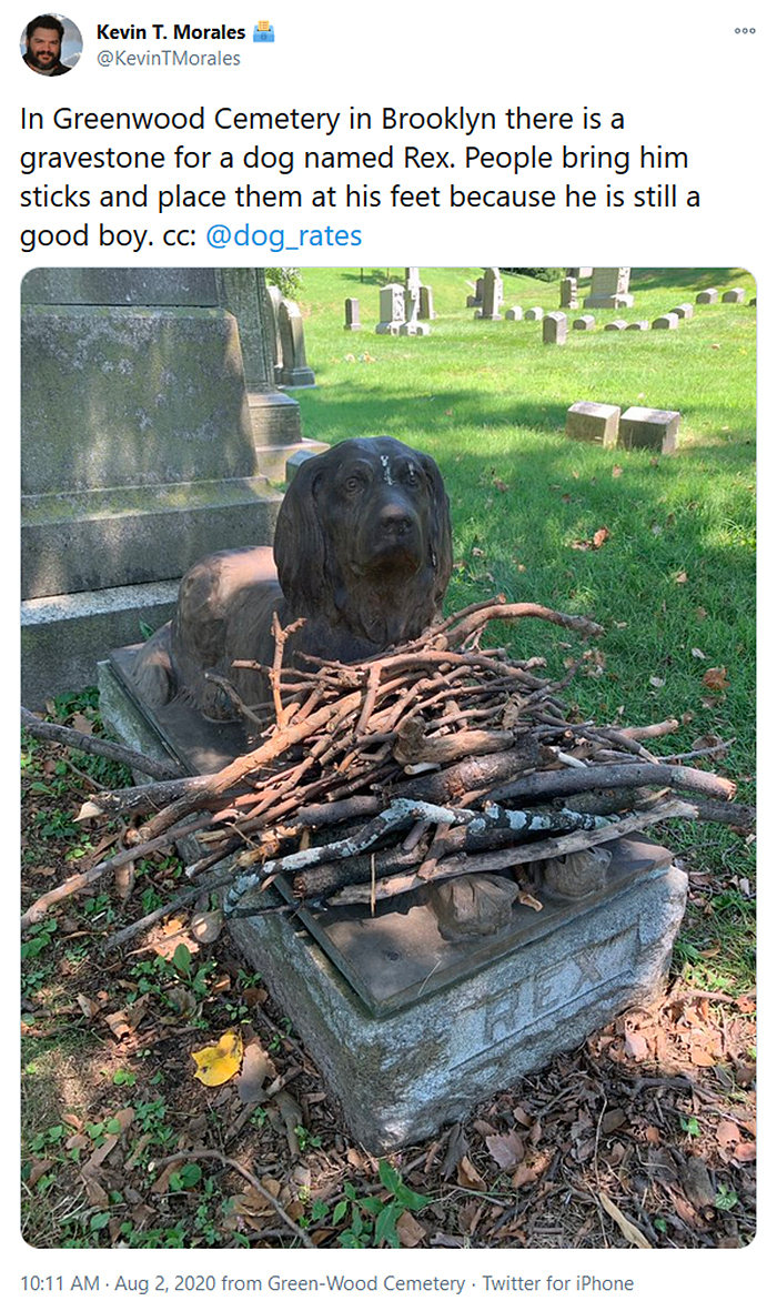 people drop sticks on dog grave