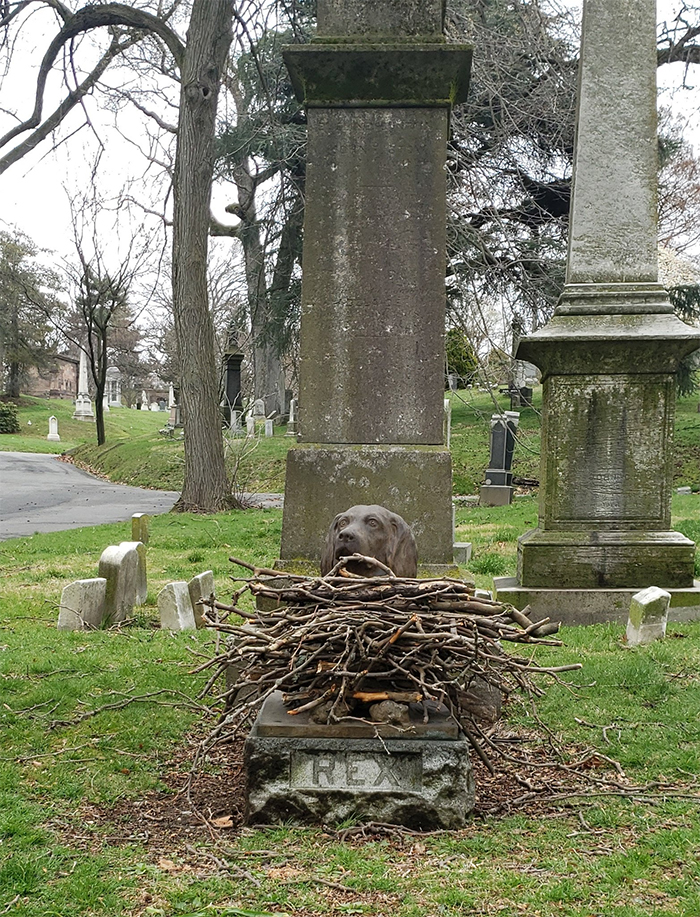 people leave stick on dog grave