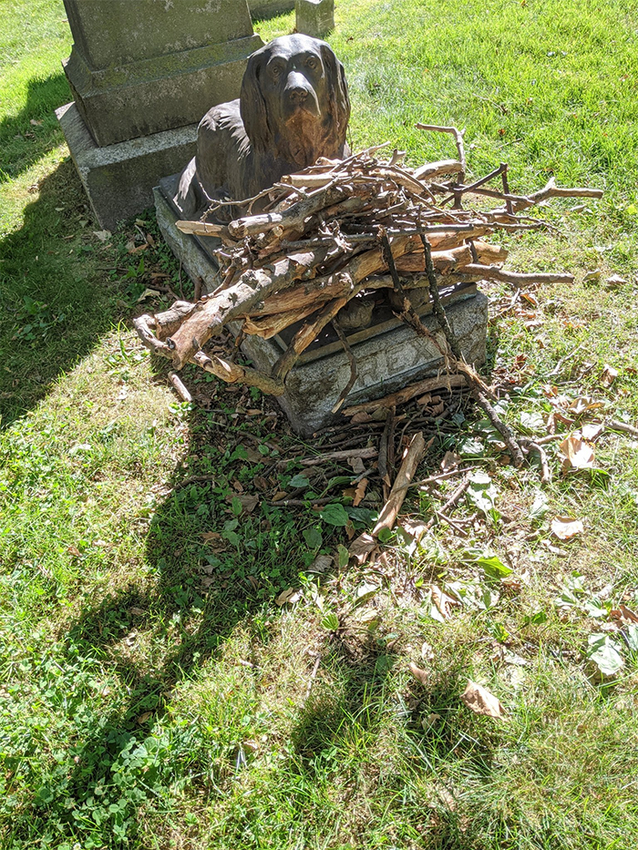 people leave sticks on rex gravestone