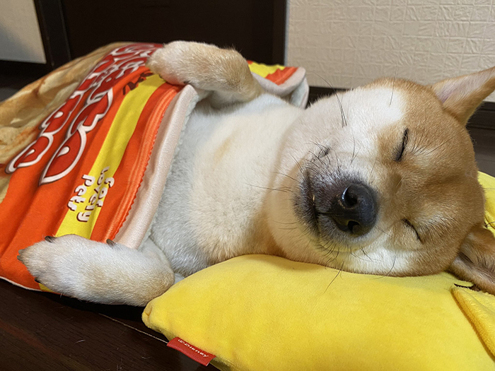 potato chips bag snack-inspired pet bed