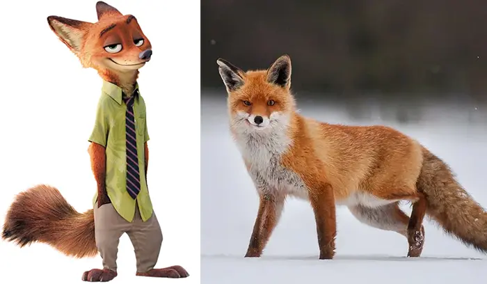 real life nick wilde zootopia