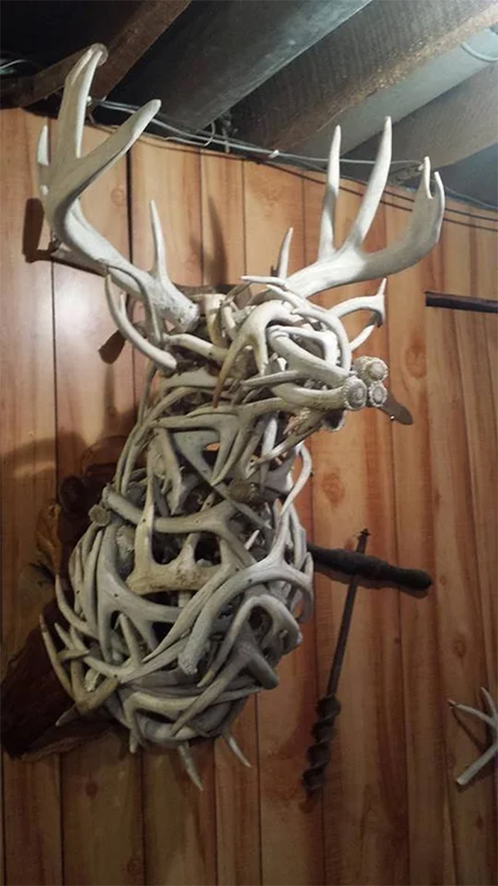 shedded antlers wall decor
