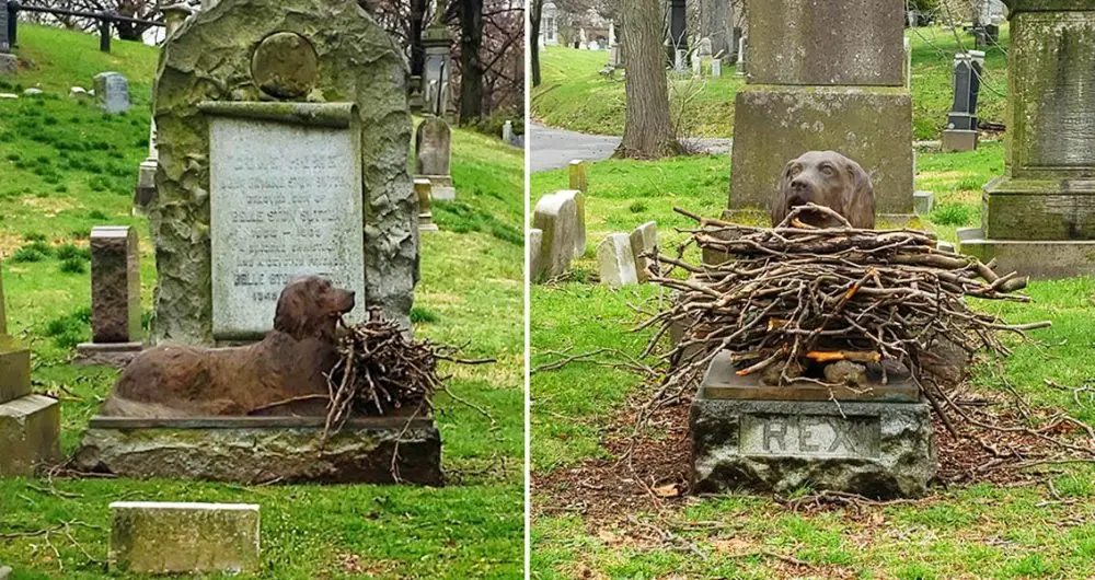 sticks on dogs grave