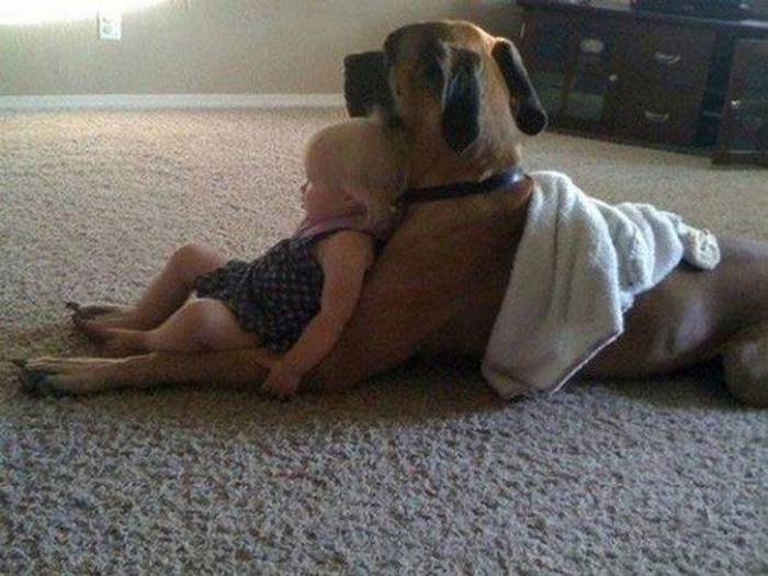 toddler leaning on a dog