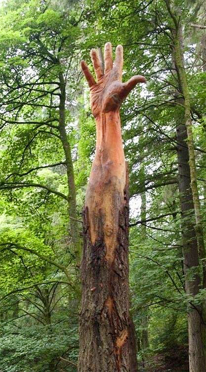 tree hand wood carving