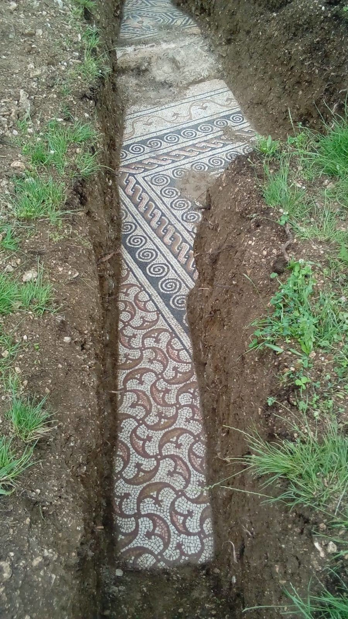 a portion of the roman mosaic floor