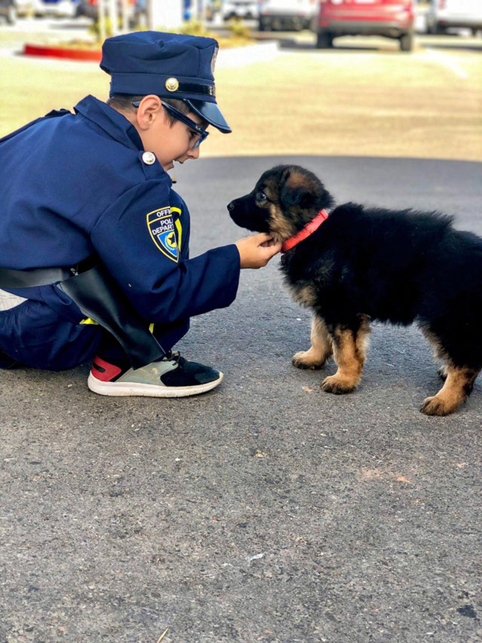 boy in police officer uniform with german shepherd puppy rescue pet photos