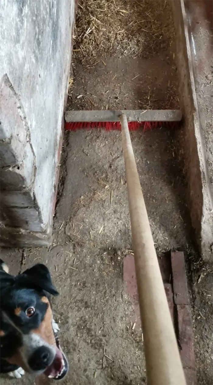 broom perfectly fits