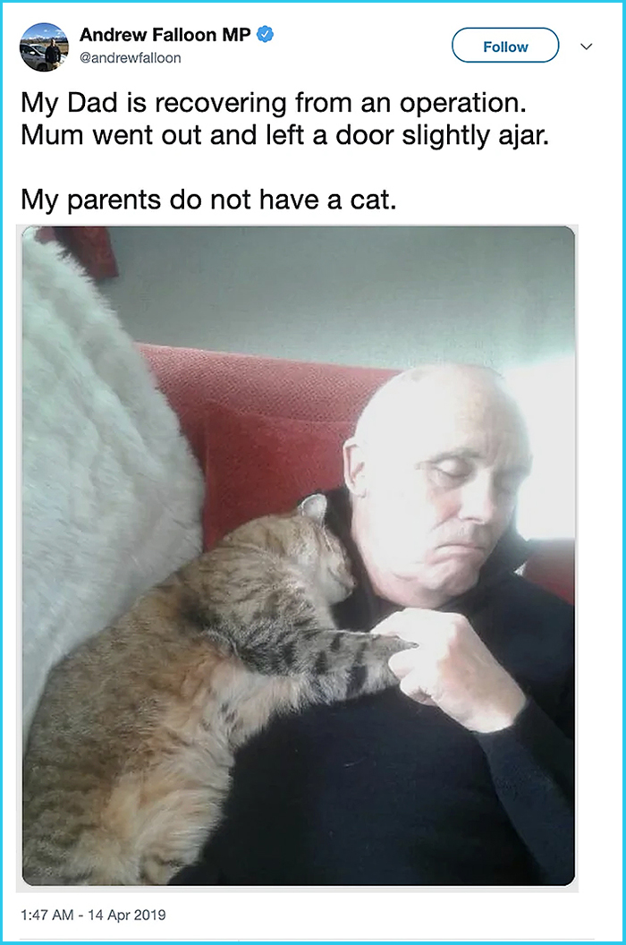 cat comforts a man recovering from surgery