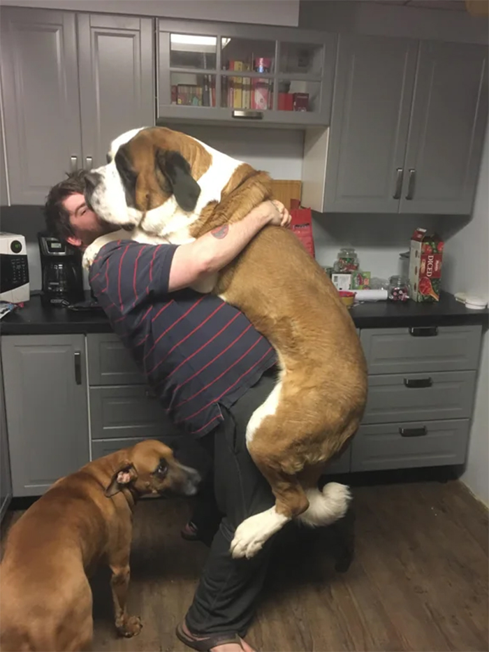 doggo loves to hug