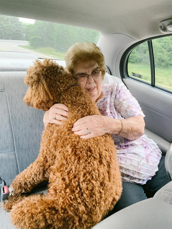 granny comforts a scared dog in the car