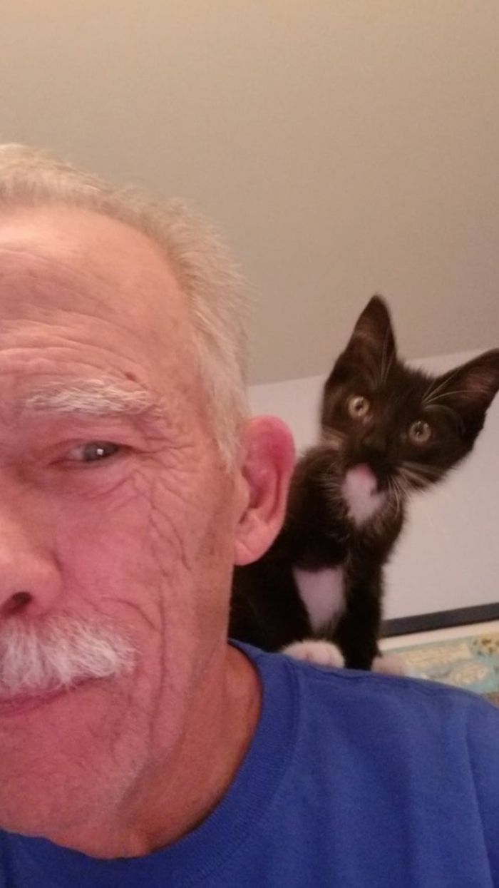 old man taking selfie with adopted kitten
