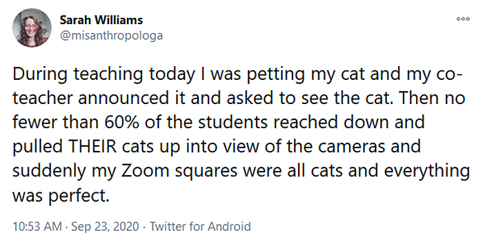 onlice class cats zoom