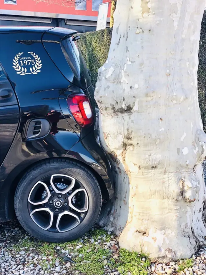 perfect things car against tree