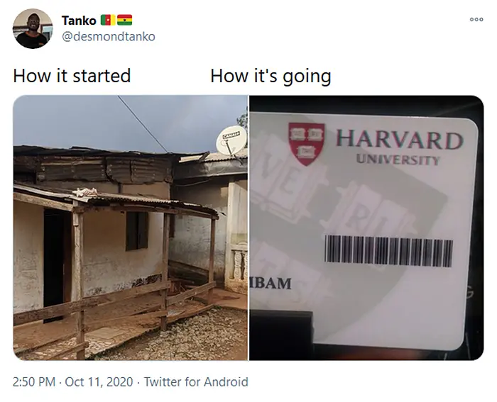 wholesome things from rags to harvard