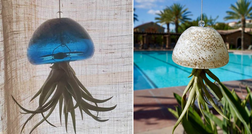 Glass Jellyfish Air planter