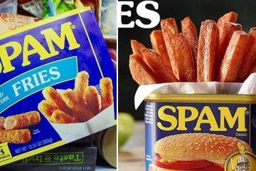 Spam fries