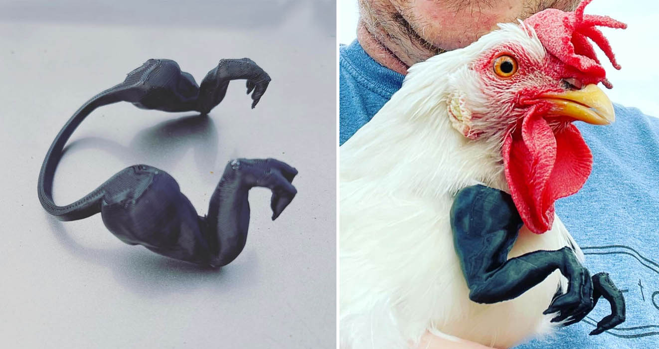 Tiny T-Rex Arms For Chickens