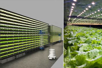 Wind-powered vertical farm