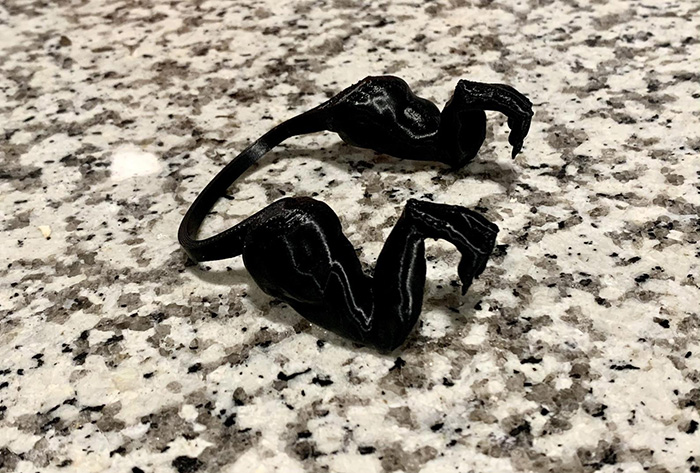 craftybargainsdesign black 3d printed dinosaur hands accessory for fowls