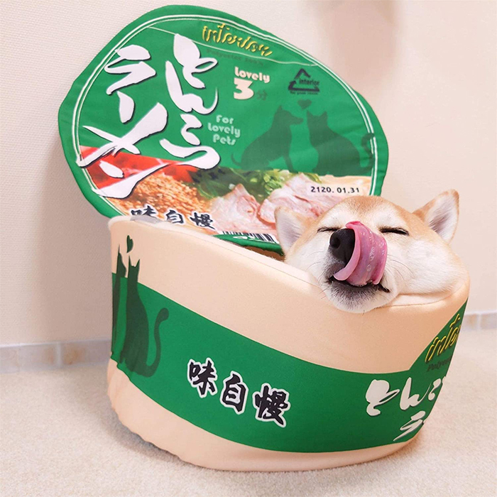 instant ramen bowl dog bed green