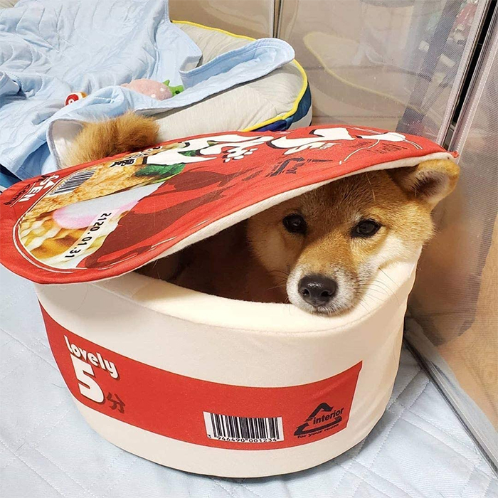 instant ramen bowl dog bed red