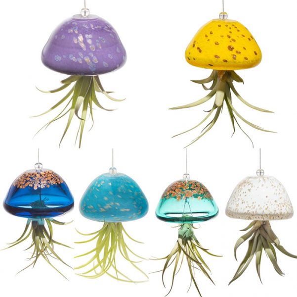It's Easy To See Why These Cute Glass Jellyfish Air Planters Are